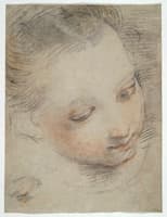 Head of a Girl (study for Madonna del Popolo)