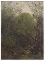 Woodland Study
