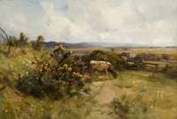 Landscape with Cattle