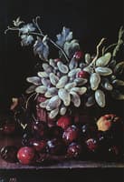 Plums, Grapes and Apples
