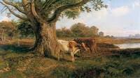 In Richmond Park