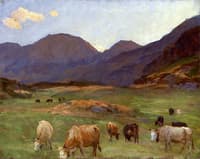 Cattle Grazing in the Tyrol