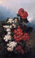Flowers and Butterflies