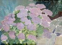 Hydrangeas