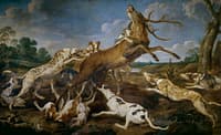 Deer harassed by a pack of dogs