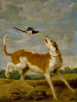 The Dog and Magpie