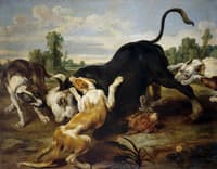 Bull and Dogs