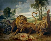 A Lion and Three Wolves