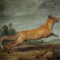 A Running Fox