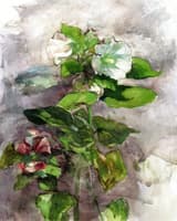 Hollyhocks