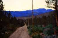 Country Road