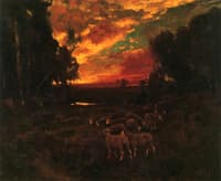 Evening Glow