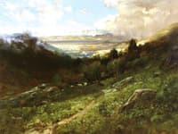 After the Storm: Nature Refreshed and Revived