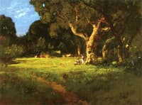 Secluded Grove