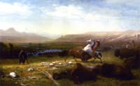 The Last of the Buffalo