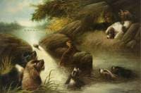 The Otter at Bay