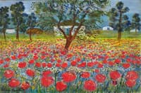 Poppy Field