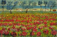 Poppy Field