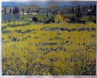 Bushes near Sienna
