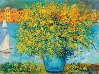 Mimosa