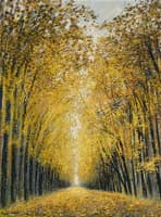 Saint Germain en Laye