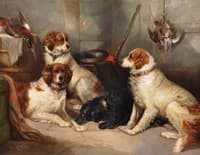 Gundogs in Gameroom
