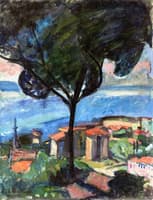 Piana, Corsica - Stone Pines