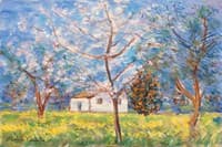 Landscape with orange trees