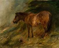 A Bay Pony Sheltering