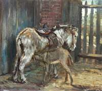 Donkey and Foal