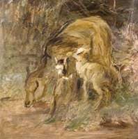 Goat and Kids