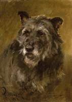 Head of a Deerhound