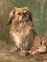 Mr Wu – A Pekingese