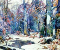 Forest Pool