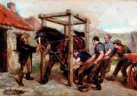 Shoeing the Bay Mare