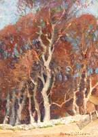 Study of Trees