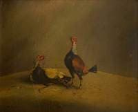 Cockfighting