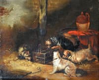 Terriers Ratting