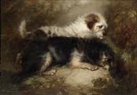 Terriers Lying in Wait