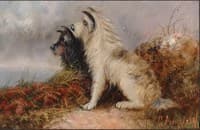 Two Terriers in a Landscape