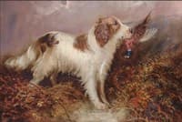 Retrieving the Pheasant