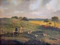 Partridge Shooting