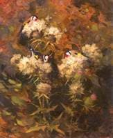 Goldfinches Feeding