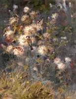 Thistledown