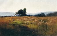 Mountain View from High Field