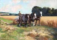 Harvest Time