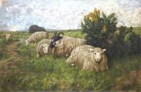 Landscape with Sheep