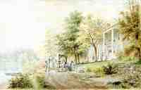 Visit to the Plantation