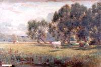 Cattle in the Water Meadow