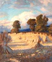 Corn Stooks in Sunlight